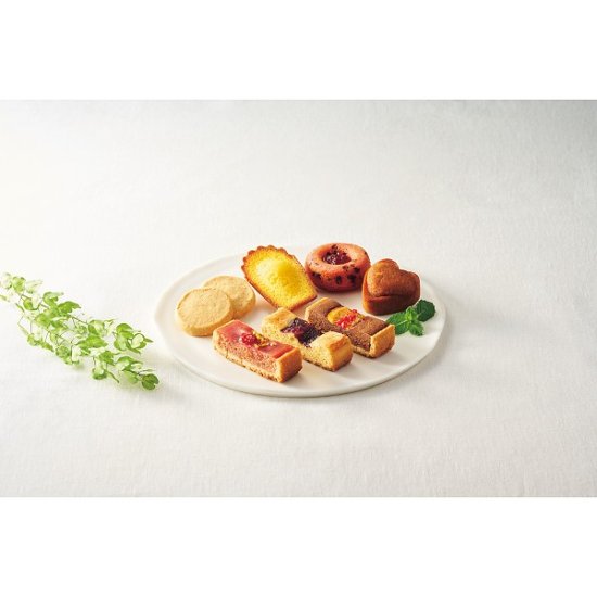 ハリーズレシピ　タルト・焼き菓子セット SHHR50S画像