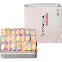 まえだ　感謝のきもち（缶入） OTN-20の画像