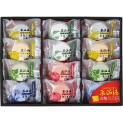 薬温湯　炭酸美肌浴セット POD-20の画像