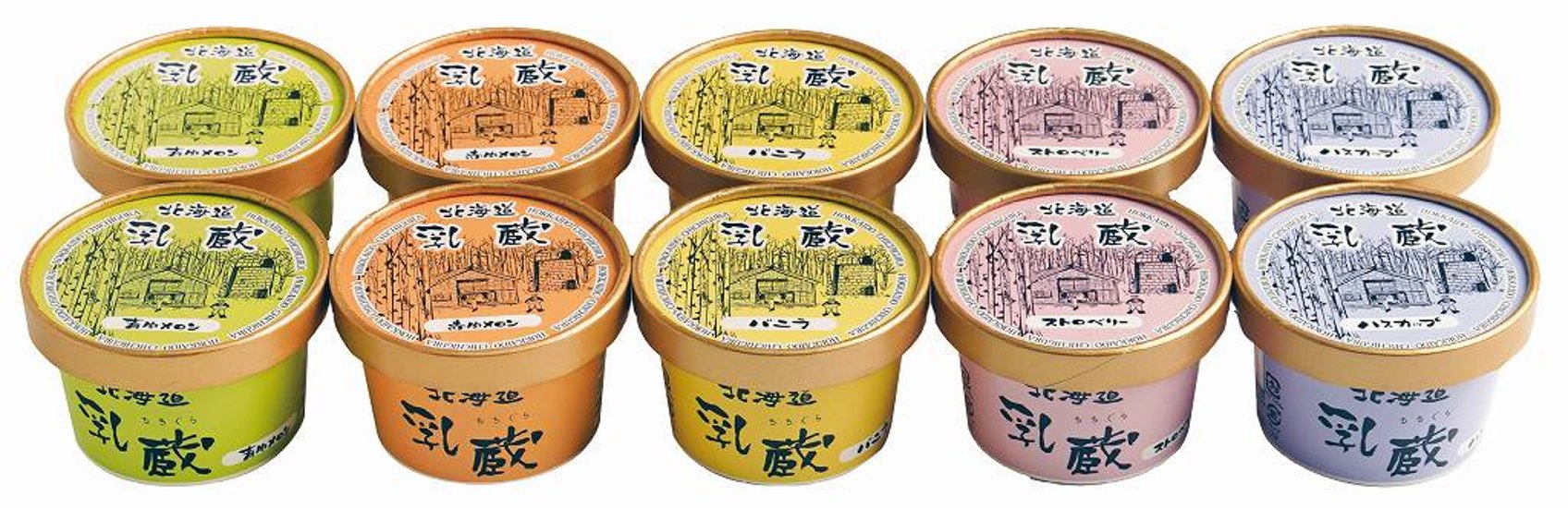 北海道アイスクリーム5種10個 110130 画像