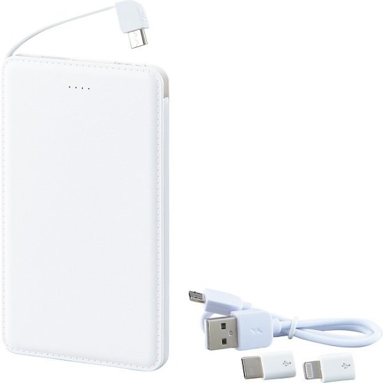 モバイルバッテリー 6189ｰ23画像