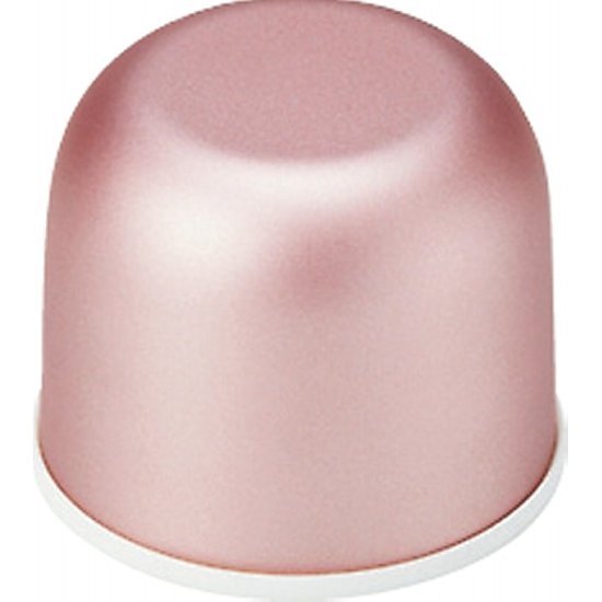 真空ステンレスボトル（４８０ｍｌ）メタリック シャンパンゴールド・ローズピンク・ブルー JM-723画像