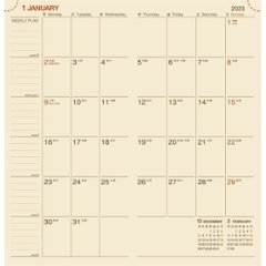 ＮＯＬＴＹ　ＷＩＣアロー２ 出来本加工 ２００〜２９９個画像