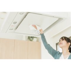 ＢＡＲＩＡＮ　油汚れウェットシート（２０枚入） 196081画像