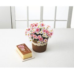 【母の日専用】長﨑堂　母の日カステーラとマーガレット鉢植さくらべーる５号のセット商品のお届け期間：5.6(水)～5.10(日)。5月6日以降のご注文は「遅れてごめんね」対応となります。画像
