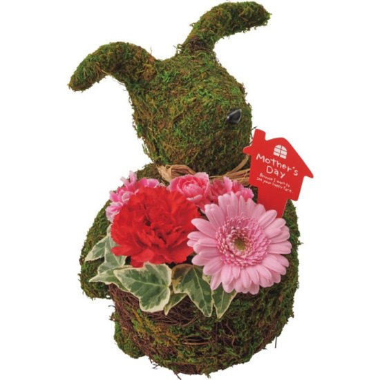 【母の日専用】モスラビット・アレンジ商品のお届け期間：5.6(水)～5.10(日)。5月6日以降のご注文は「遅れてごめんね」対応となります。画像