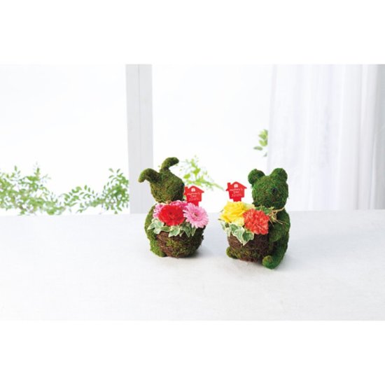 【母の日専用】モスラビット・アレンジ商品のお届け期間：5.6(水)～5.10(日)。5月6日以降のご注文は「遅れてごめんね」対応となります。画像