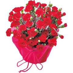 【母の日専用】カーネーション鉢植え 赤商品のお届け期間：5.6(水)～5.10(日)。5月6日以降のご注文は「遅れてごめんね」対応となります。の画像