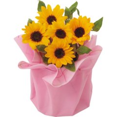 【母の日専用】ひまわり鉢植え「サンリッチオレンジ」商品のお届け期間：5.6(水)～5.10(日)。5月6日以降のご注文は「遅れてごめんね」対応となります。の画像