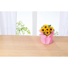 【母の日専用】ひまわり鉢植え「サンリッチオレンジ」商品のお届け期間：5.6(水)～5.10(日)。5月6日以降のご注文は「遅れてごめんね」対応となります。画像