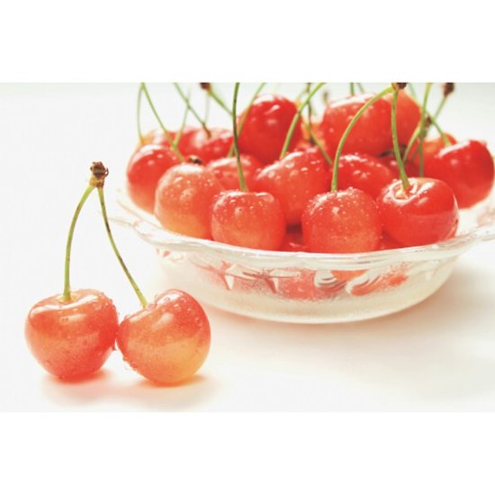 母の日専用　ハウスさくらんぼ佐藤錦特秀３００ｇとカーネ商品のお届け期間：5.6(水)～5.10(日)。5月6日以降のご注文は「遅れてごめんね」対応となります。画像