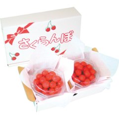 【母の日専用】佐藤錦　ハウスさくらんぼ商品のお届け期間：5.6(水)～5.10(日)。4月27日以降のご注文は「遅れてごめんね」対応となります。の画像