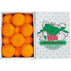 【母の日専用】カラマンダリン（１ｋｇ）商品のお届け期間：5.6(水)～5.10(日)。4月30日以降のご注文は「遅れてごめんね」対応となります。の画像