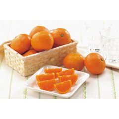 【母の日専用】カラマンダリン（１ｋｇ）商品のお届け期間：5.6(水)～5.10(日)。4月30日以降のご注文は「遅れてごめんね」対応となります。画像