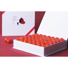 【母の日専用】オスミック　ファースト　プリンセス（４５０ｇ）商品のお届け期間：5.6(水)～5.10(日)。4月27日以降のご注文は「遅れてごめんね」対応となります。画像