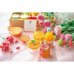 【母の日専用】伊藤農園　果汁１００％ピュアジュース＆寒天ジュレセット商品のお届け期間：5.6(水)～5.10(日)。5月6日以降のご注文は「遅れてごめんね」対応となります。画像