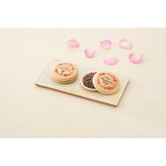 【母の日専用】母の日オリジナルプリント最中とマーガレット鉢植え５号のセット商品のお届け期間：5.6(水)～5.10(日)。5月6日以降のご注文は「遅れてごめんね」対応となります。画像