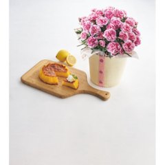 【母の日専用】瀬戸内レモンのしっとりカステラとカーネーション鉢植え５号のセット商品のお届け期間：5.6(水)～5.10(日)。5月6日以降のご注文は「遅れてごめんね」対応となります。画像