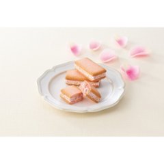 【母の日専用】苺きららとカーネーション鉢植え「いちごホイップ」５号のセット商品のお届け期間：5.6(水)～5.10(日)。5月6日以降のご注文は「遅れてごめんね」対応となります。画像