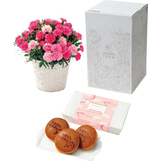 【母の日専用】ホシファーム　カーネーション鉢植え「ホットハート」５号＆徳島なると金時のどら焼き商品のお届け期間：5.6(水)～5.10(日)。5月6日以降のご注文は「遅れてごめんね」対応となります。画像