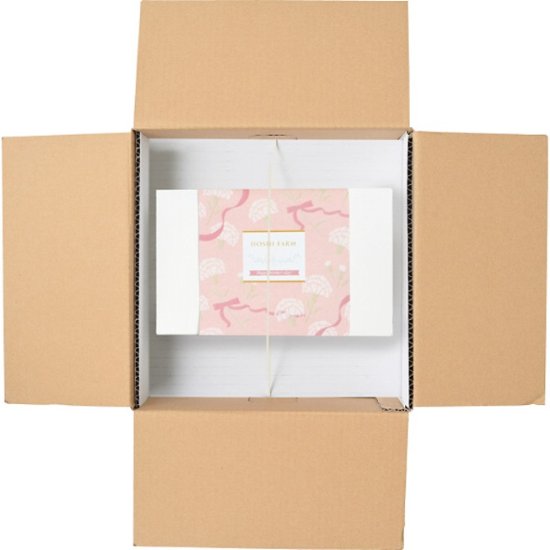 【母の日専用】ホシファーム　カーネーション鉢植え「ホットハート」５号＆徳島なると金時のどら焼き商品のお届け期間：5.6(水)～5.10(日)。5月6日以降のご注文は「遅れてごめんね」対応となります。画像