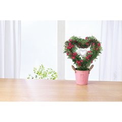 【母の日専用】つるバラ　プリティーハートリング商品のお届け期間：5.6(水)～5.10(日)。5月6日以降のご注文は「遅れてごめんね」対応となります。画像