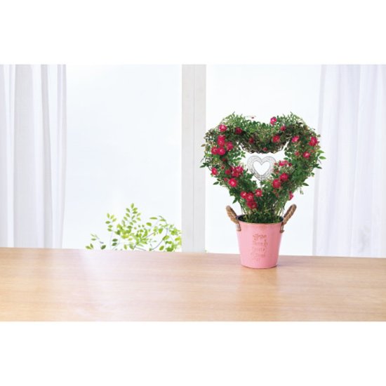 【母の日専用】つるバラ　プリティーハートリング商品のお届け期間：5.6(水)～5.10(日)。5月6日以降のご注文は「遅れてごめんね」対応となります。画像