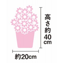 【母の日専用】カーネーション鉢植え「いちごホイップ」５号商品のお届け期間：5.6(水)～5.10(日)。5月6日以降のご注文は「遅れてごめんね」対応となります。画像