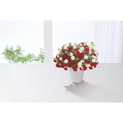 【母の日専用】スーパーベル ダブルレッド＆ホワイト商品のお届け期間：5.6(水)～5.10(日)。5月6日以降のご注文は「遅れてごめんね」対応となります。画像