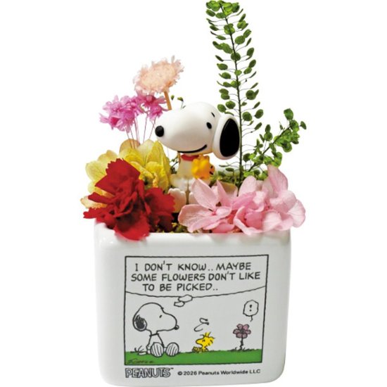 【母の日専用】スヌーピーリトルガーデン（プリザーブドフラワー）商品のお届け期間：5.6(水)～5.10(日)。5月6日以降のご注文は「遅れてごめんね」対応となります。画像
