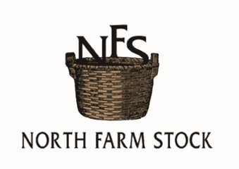 【北海道直送】 NORTH　FARM　STOCK 北海道ハニーレモネード＆ジンジャーエールギフト FO-07 【全国送料込】(沖縄・離島除く)画像