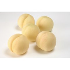 2026年お中元特別企画 岡山県産　岡山白桃（１．５ｋｇ） 【全国送料無料】画像