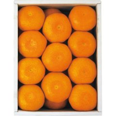 2026年お中元特別企画 佐賀県産　ＪＡグループ佐賀　温室みかん（１．５ｋｇ） 【全国送料無料】の画像
