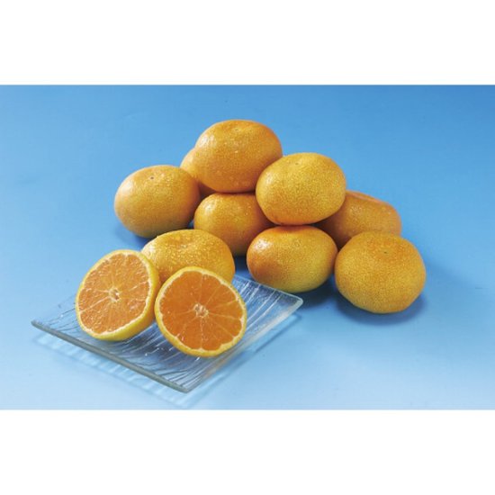 2026年お中元特別企画 佐賀県産　ＪＡグループ佐賀　温室みかん（１．５ｋｇ） 【全国送料無料】画像
