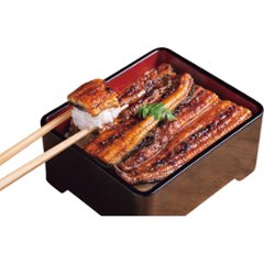 2026年お中元特別企画 愛知県産　炙りうなぎ蒲焼（２尾） 【全国送料無料】の画像