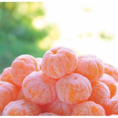 2026年お中元特別企画 ミヤモトオレンジガーデン　冷凍みかん（皮なし）（１ｋｇ） 【全国送料無料】画像