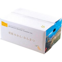 2026年お中元特別企画 ミヤモトオレンジガーデン　冷凍みかん（皮なし）（１ｋｇ） 【全国送料無料】画像