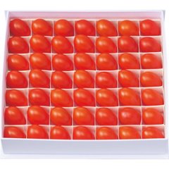 2026年お中元特別企画 オスミック　ファースト　プリンセス（４５０ｇ） 【全国送料無料】の画像