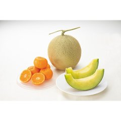2026年お歳暮特別企画 国産マスクメロン１玉・和歌山県産みかん 【全国送料無料】(沖縄・離島は別途)画像