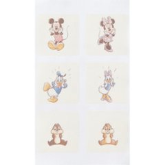 2027年おせち特別企画 おせち詰合せ／ディズニー　二段重 【全国送料無料】(沖縄・離島は別途)画像