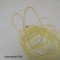 腕輪用　イエローゴム　直径０．８ｍｍ 画像