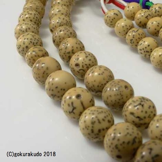 数珠 真言宗 星月菩提樹 尺2 五色紐房画像