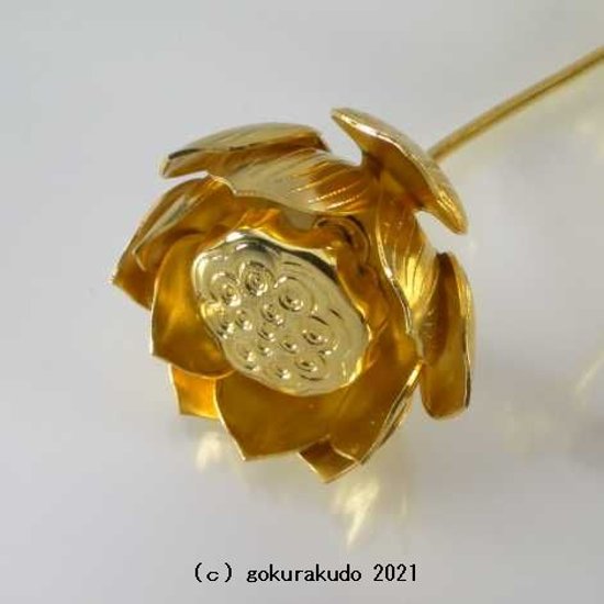 常花・蓮の花/真鍮製 本金メッキ 6号 7本立画像