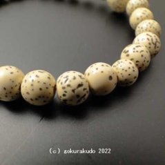 数珠 ブレス 総星月菩提樹 尺2玉（主玉約7.5mm）画像