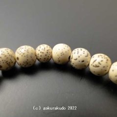 数珠 ブレス 総星月菩提樹 尺2玉（主玉約7.5mm）画像
