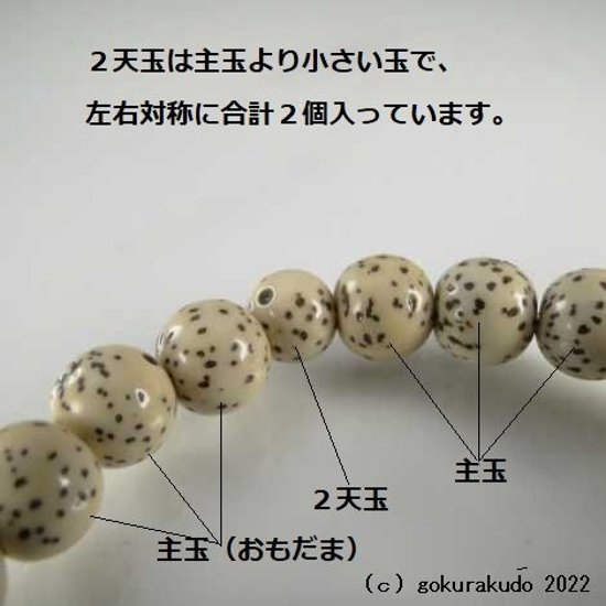 数珠 ブレス 総星月菩提樹 尺2玉（主玉約7.5mm）画像