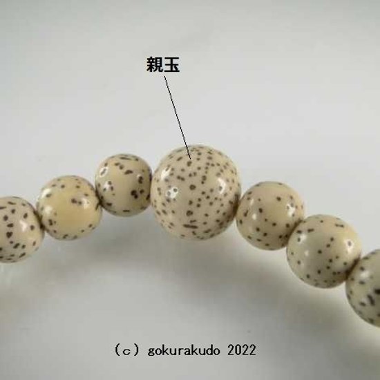 数珠 ブレス 総星月菩提樹 尺2玉（主玉約7.5mm）画像
