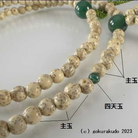 数珠 浄土真宗 8寸 主玉は星月菩提樹、 (親・四天・つゆ)翡翠（アベン）柳色房画像