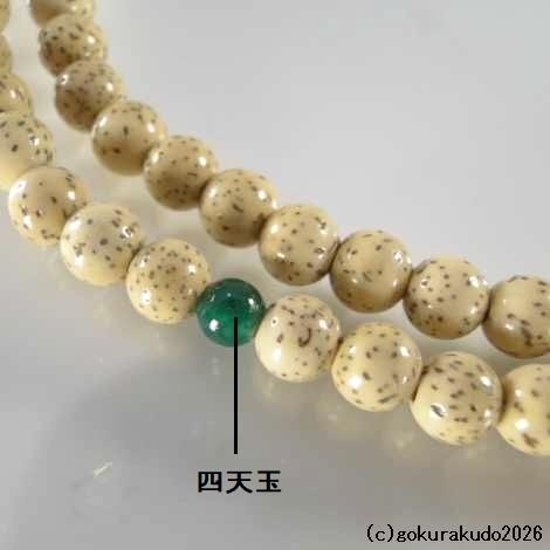 数珠 日蓮宗・法華宗 星月菩提樹 尺、 (親・四天・つゆ)翡翠(アベン)、とくさ色菊房画像