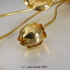 常花・蓮の花/真鍮製 本金メッキ 6号 9本立画像